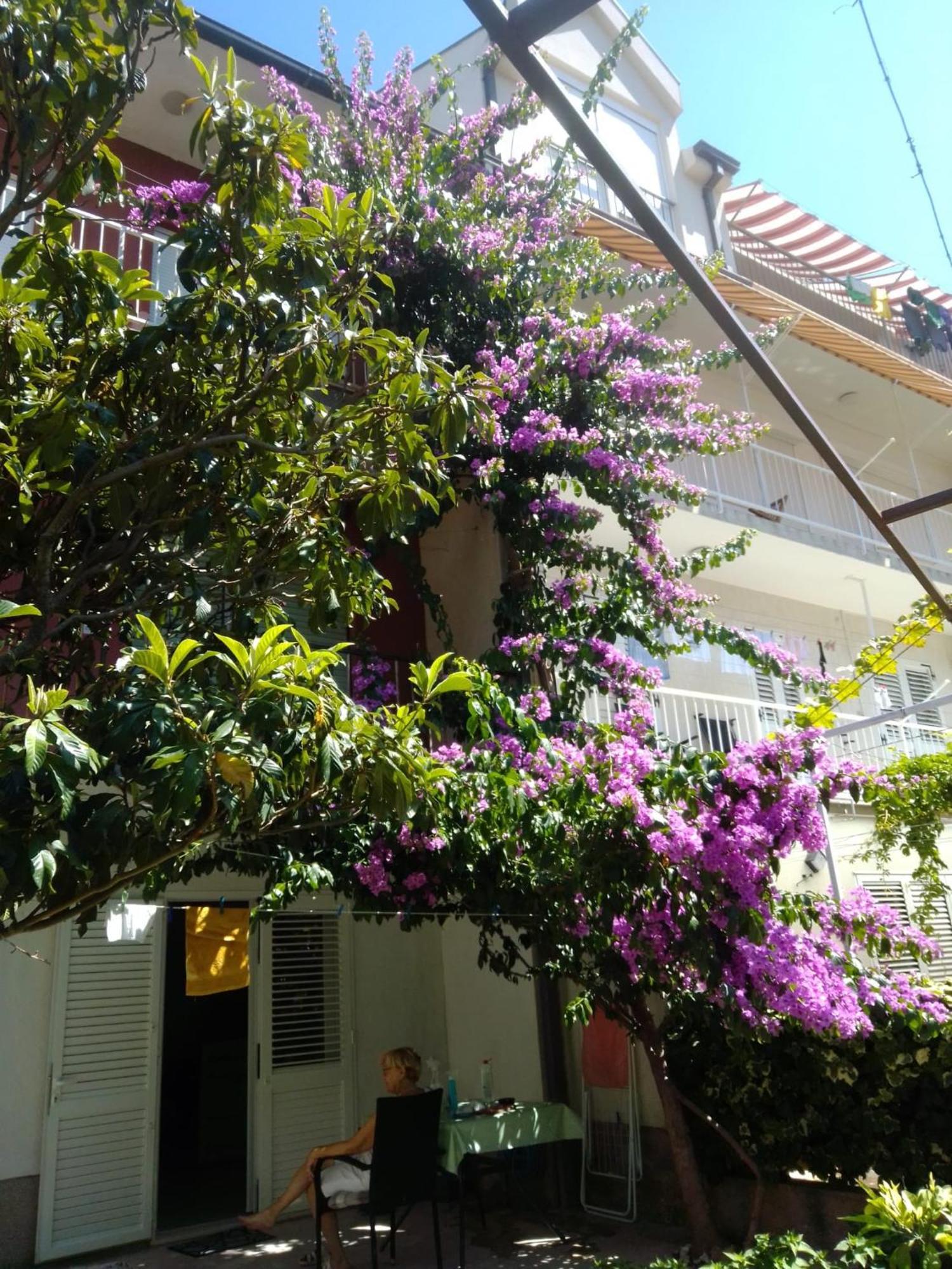Apartment Andelka Omis Exterior photo